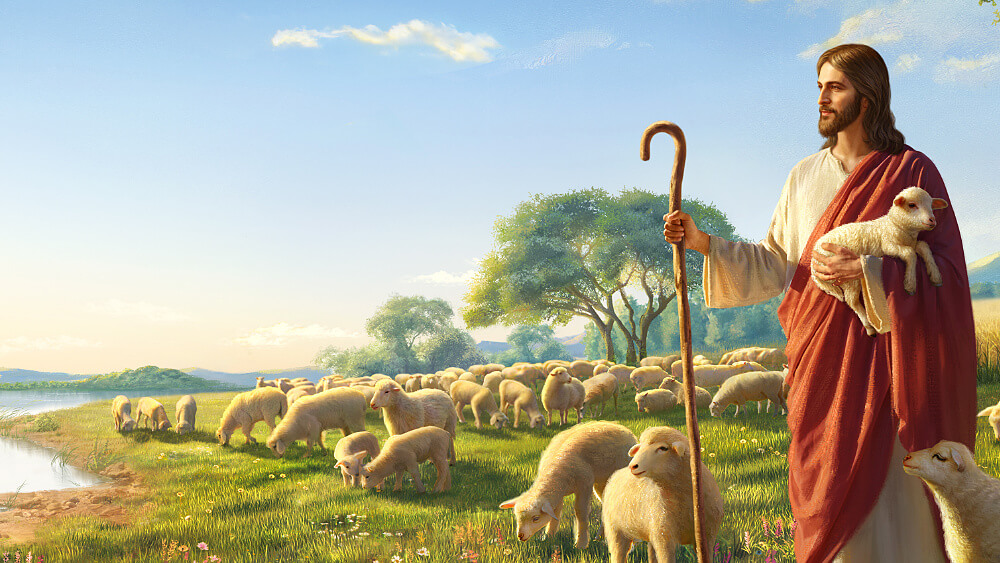 Vangelo di oggi - Matteo 18:12