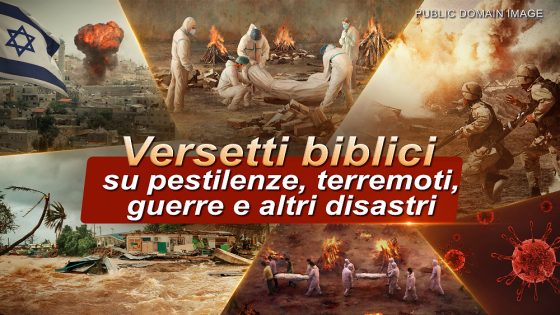 pestilenze, terremoti, guerre